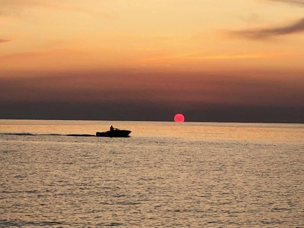 Shimunelka بيروغ المظهر الخارجي الصورة